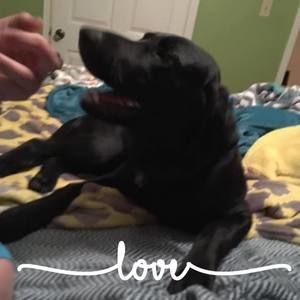 Meet your Posher, Brooklynn